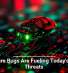 Software Bugs Are Fueling Today&rsquo;s Cyber Threats